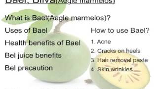 Benefits and Uses of Bilva Bael Aegle marmelos [upl. by Procto]