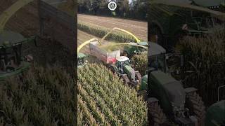 Retour sur ce chantier densilage XXL filmé en Mayenne en 2021 🌽 farming agriculture [upl. by Sheley766]