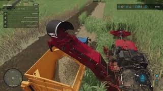 Suikerriet oogsten  Farming SImulator 22 Terschelling 42 [upl. by Leland]