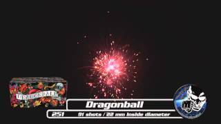 Dragonball Svea Fireworks [upl. by Ofella]