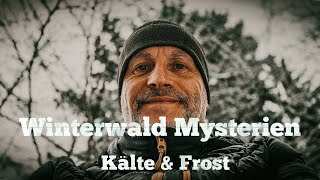 Winterwald Mysterien  Kälte und Frost [upl. by Annahgiel395]