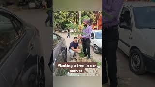 Planting a gulmohar tree in our market tree trees punjabisong treesong camphortrees treewhispe [upl. by Ianthe687]