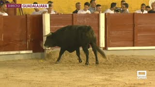 Guadalajara reúne a 15 de los mejores recortadores de España  Ancha es CastillaLa Mancha [upl. by Megan876]