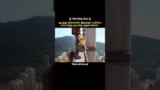 Full video 📸  This couple is trying to save their tiger from danger  Rewind  shortsfeed [upl. by Nylekoorb]