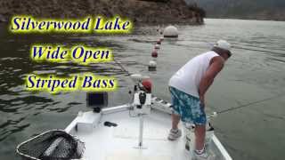 Silverwood lake Stripers Wide Open  The Reel Brothers Presents [upl. by Alleunam]