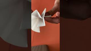 How to Fold Filter Paper [upl. by Ahserkal902]