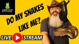 Snakes amp Scotch LIVESTREAM Do my snakes LIKE me [upl. by Christiansen]