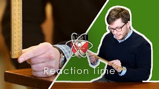 Reaction Time  GCSE Science Required Practical [upl. by Annahael]