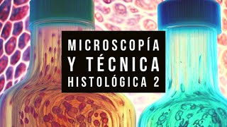 01 2 de 2  🧪 Técnicas de HISTOQUIMICA PAS Sudán etc 🔬 [upl. by Ymmat]