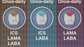 Reducing Exacerbations in COPD [upl. by Bove]