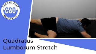 Quadratus Lumborum Stretch  Sidelying [upl. by Meekahs]