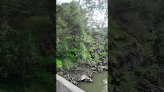 Warrandyte State Park  VIC Australia park lake river camping hike asmr relax outback [upl. by Sonafets994]