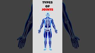 Understanding Types of Joints Fibrous Cartilaginous and Synovial Joints Quick Overview biology [upl. by Olnton463]