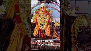 Maa Narayani beguniapada ytshorts love devotion peace [upl. by Asenaj]