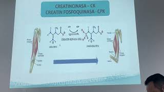 Bioquímica enzimas parte clínica parte 2 [upl. by Costanza745]