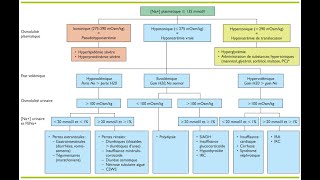 Hyponatrémie quotDiagnostic étiologique en Bref quot DrBouhentalla [upl. by Enilemme544]