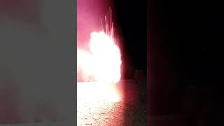 fireworks firecracker diwalicelebration diwalifirework 2024shorts trendingshorts viralshort [upl. by Ahsuas37]