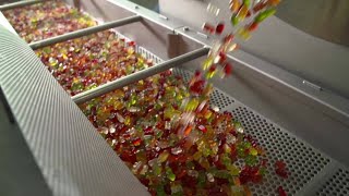 100 Jahre HARIBO Eine Kultmarke feiert Geburtstag  ohne Audio [upl. by Nahtanha614]