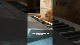 Nero The Pianist  random song 5 [upl. by Aidiruy]