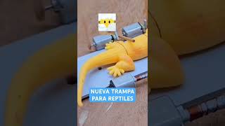 Trampa para Reptiles funny comedia serpiente serpientesvenenosas humor comedy [upl. by Aehtna]