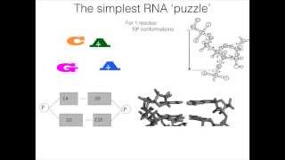 StepWise MonteCarlo for modelingdesign RNA amp protein [upl. by Refeinnej949]