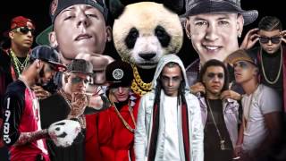 Panda remix [upl. by Willem]