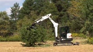 Raptor Mulching Head for Mini Excavators [upl. by Liebowitz]