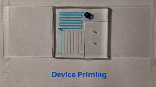 Capillarydriven Microfluidic device for Microparticlelabeled Immunoassay [upl. by Rosena]