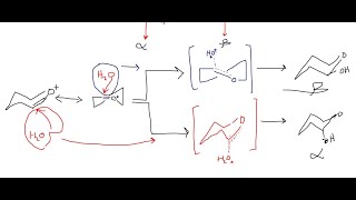 oxocarbenium ion  which anomer   carbohydrate 4 [upl. by Lilian]