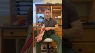 Biceps Tendonitis Treatment  Fascial Release of the Pronator Teres Muscle [upl. by Julee]