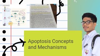 Apoptosis Part 1  Definition of Apoptosis Physiological Causes of Apoptosis [upl. by Buhler]