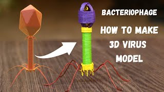 How to make Bacteriophage Virus 3d Model DIY at home Making easy bacteria eater virus 3d model diy [upl. by Mij]