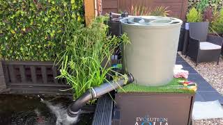 DIY Koi Pond the new fitter setup easy pod [upl. by Parnell]