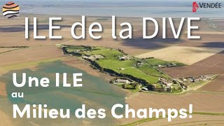 GÉOLOGIE de lILE de la DIVE en VENDÉE [upl. by Phio531]