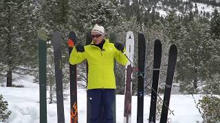 2019 Powder Skis [upl. by Jock]