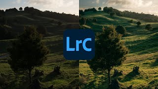 レタッチ解説 輝度マスクを駆使して絵画風に仕上げる方法。（カラグレは動画外） Lightroom Photo Editing II5  RGB Tone curve [upl. by Eilssel685]