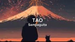 Lyrics video Tao by Sampaguita [upl. by Ikceb]