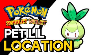 Pokemon Scarlet amp Violet  Petilil Location [upl. by Bachman]