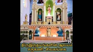 அற்புதங்கள் நிகழ்த்திய சின்ன சவேரியார் savaria wonder sarugani church sivagangai reels shorts [upl. by Bessy254]