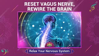 Reset Vagus Nerve Rewire The Brain  Relax Your Nervous System  Therapeutic Deep Healing Sounds [upl. by Anasxor274]