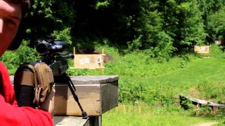 308 Sniper Rifle VS Wild Turkey [upl. by Assilem]