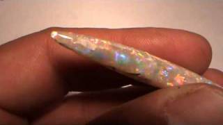 OPALIZED BELEMNITE FLASHFIREOPALS [upl. by Hiram]