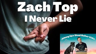 I Never Lie This Zach Top pedal steel guitar solo is pretty nice 👌 [upl. by Mikal830]