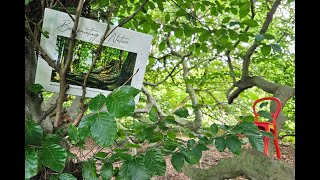 Photobook about artproject BODYPAINT IN NATURE by artist Jörg Düsterwald [upl. by Nomaid745]