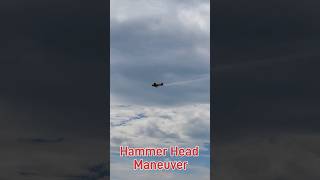 Hammer Head Maneuver by the T6 Harvard of the Yellow Thunder Team [upl. by Latsirc]