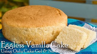 Eggless Cake Using Only Cake Gel amp No Cake Concentrate  Eggless Vanilla Cake  The Terrace Kitchen [upl. by Way114]