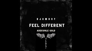 Reekado Banks Adekunle Gold Maleek Berry Feel Different DJ AMORY REMIX [upl. by Waylan724]