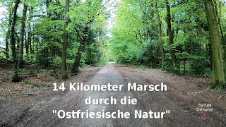 Marsch Rundkurs ab Mutter Janßen 14 Km durch den Wallinghausener Wald Marsch Nordic Walking Wanden [upl. by Haiel529]