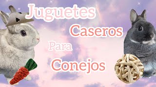 Juguetes Caseros Para Conejos  Solo cartón [upl. by Hsenid]