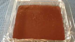 Carnation Chocolate Fudge Recipe  Creamy Chocolate Fudge [upl. by Auhsuoj]